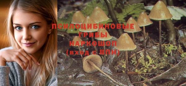 PSILOCYBIN Алексеевка